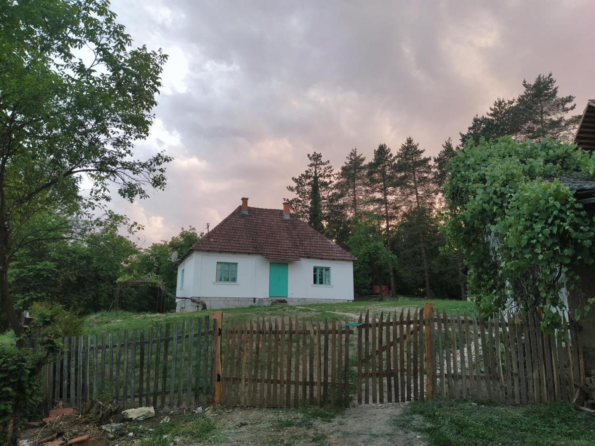 Vacation house Stala la la Požega Extérieur photo